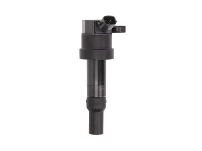 Bobina De Inductie Delphi 0.25 kg - GN10585-12B1