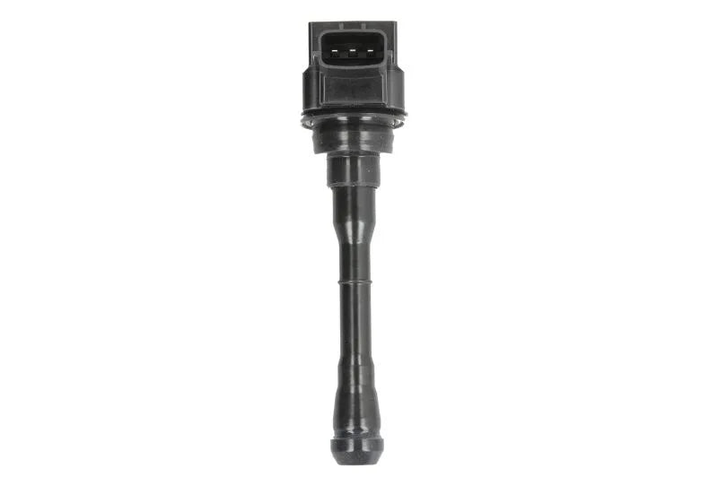 Kit Aprindere Delphi 0.24 kg - GN10614-12B1