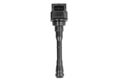 Kit Aprindere Delphi 0.24 kg - GN10614-12B1