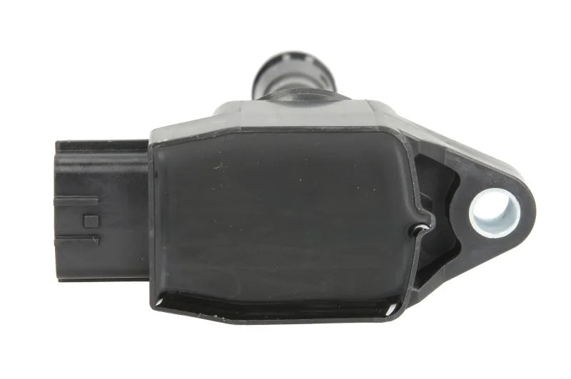 Kit Aprindere Delphi 0.24 kg - GN10614-12B1