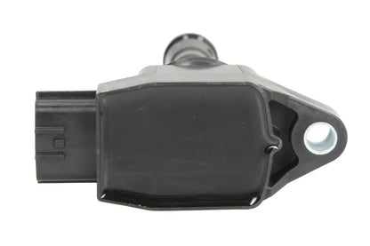 Kit Aprindere Delphi 0.24 kg - GN10614-12B1