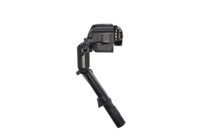 Bobina De Inductie Delphi 0.35 kg - GN10690-12B1