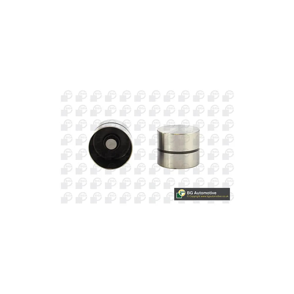 Tacheti BGA - HL6310