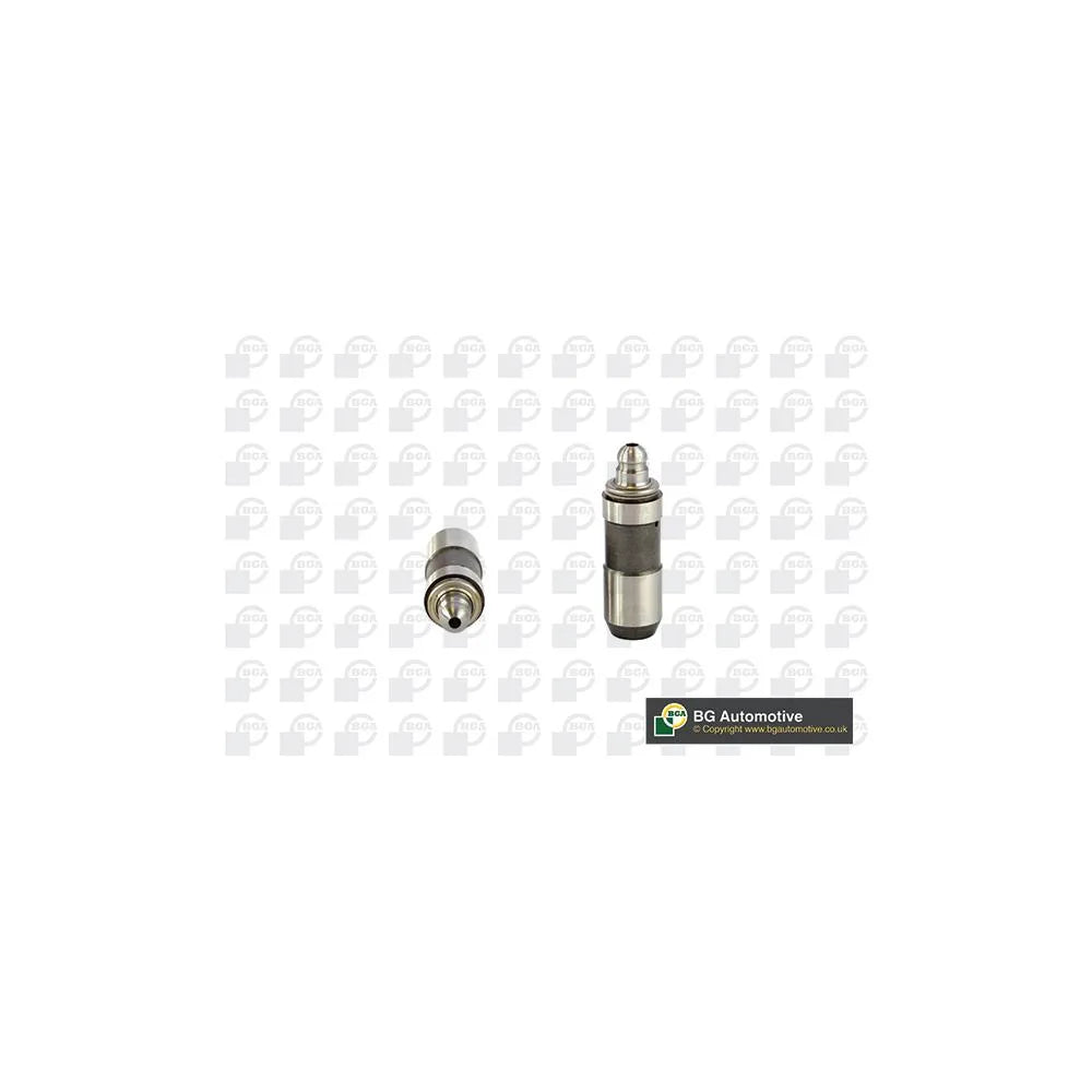 Tacheti BGA - HL6339
