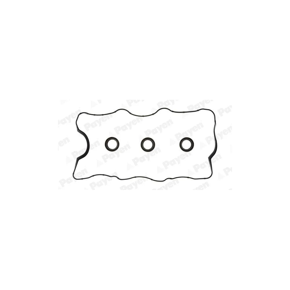 Set Garnituri Payen 31 mm - HM5250