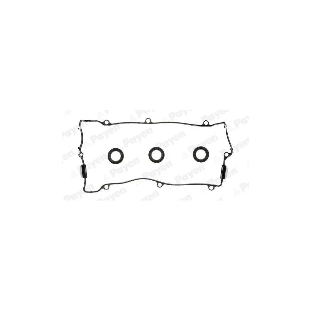 Set Garnituri Payen 85 mm 236 mm - HM5265