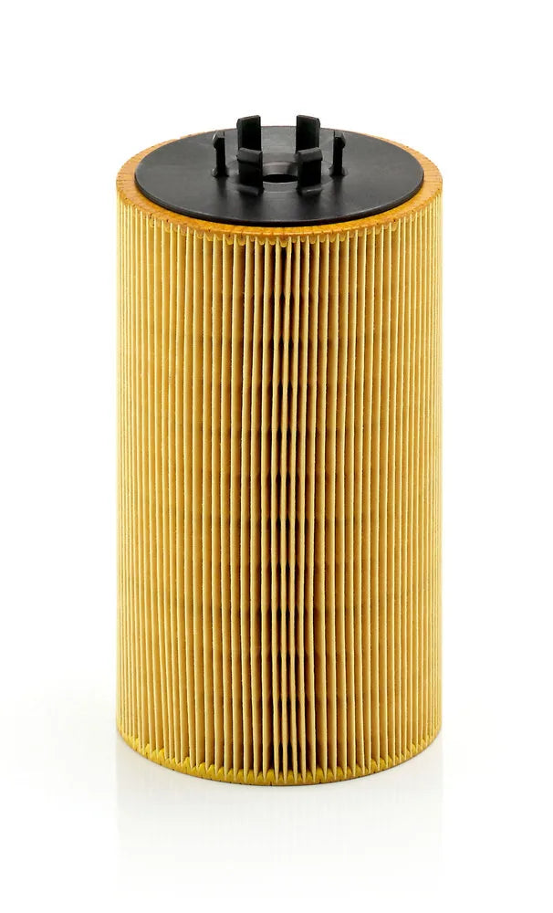 Filtru Ulei MAN 0.29 kg - HU13125/3X
