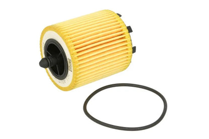 Filtru Ulei Mann-Filter 0.06 kg - HU 6007 x