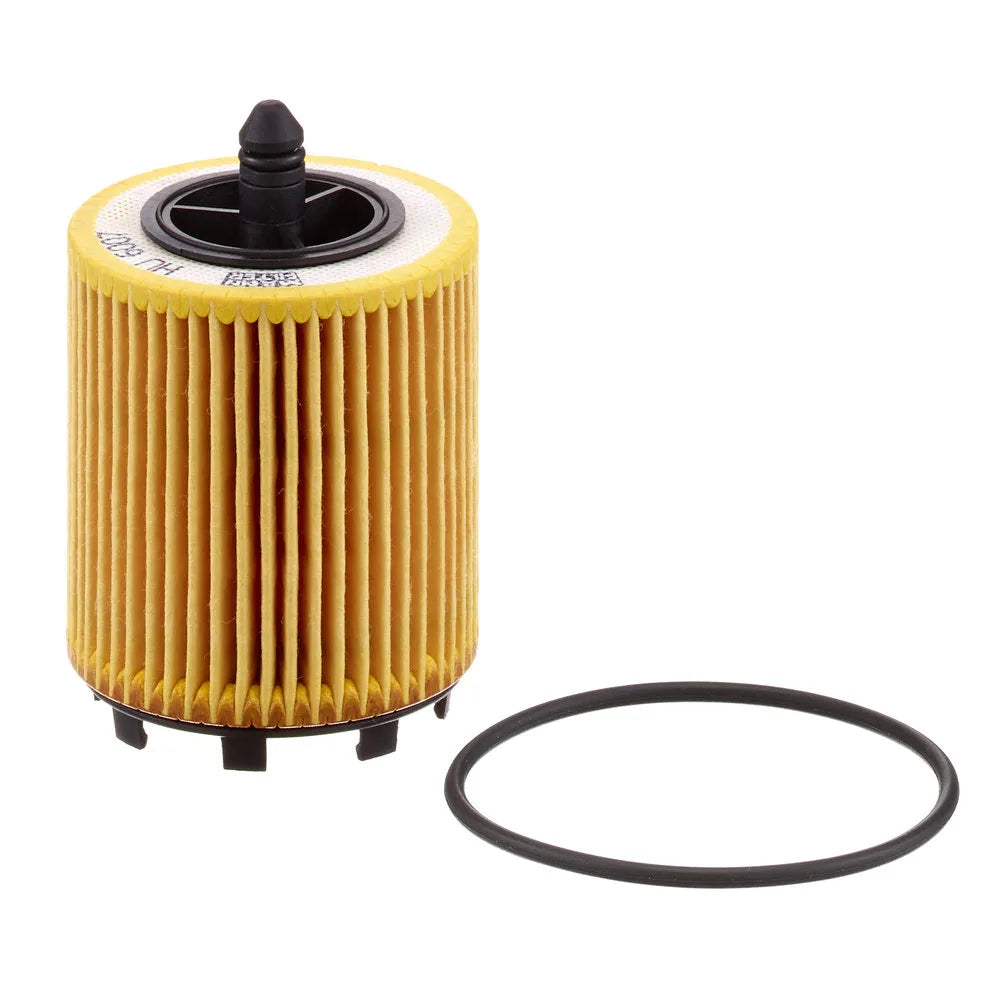 Filtru Ulei Mann-Filter 0.06 kg - HU 6007 x
