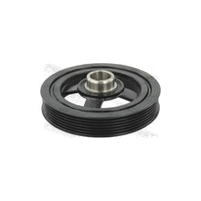 Alte Fulii Febest - HYDS-G4LC