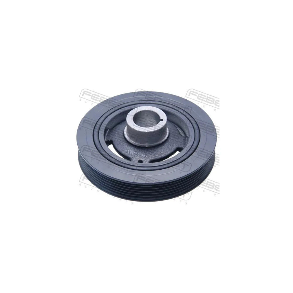 Alte Fulii Febest - HYDS-IX35