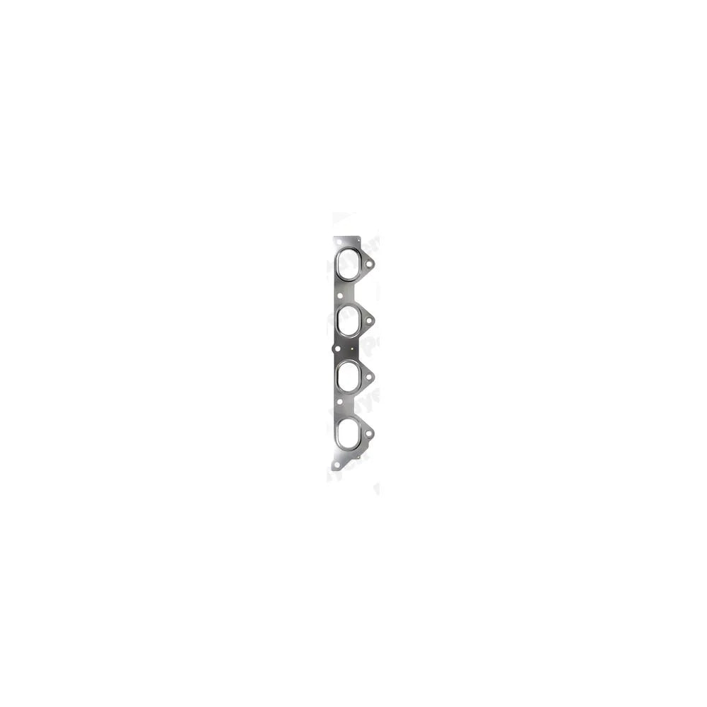 Garnitura Evacuare Payen - JC884