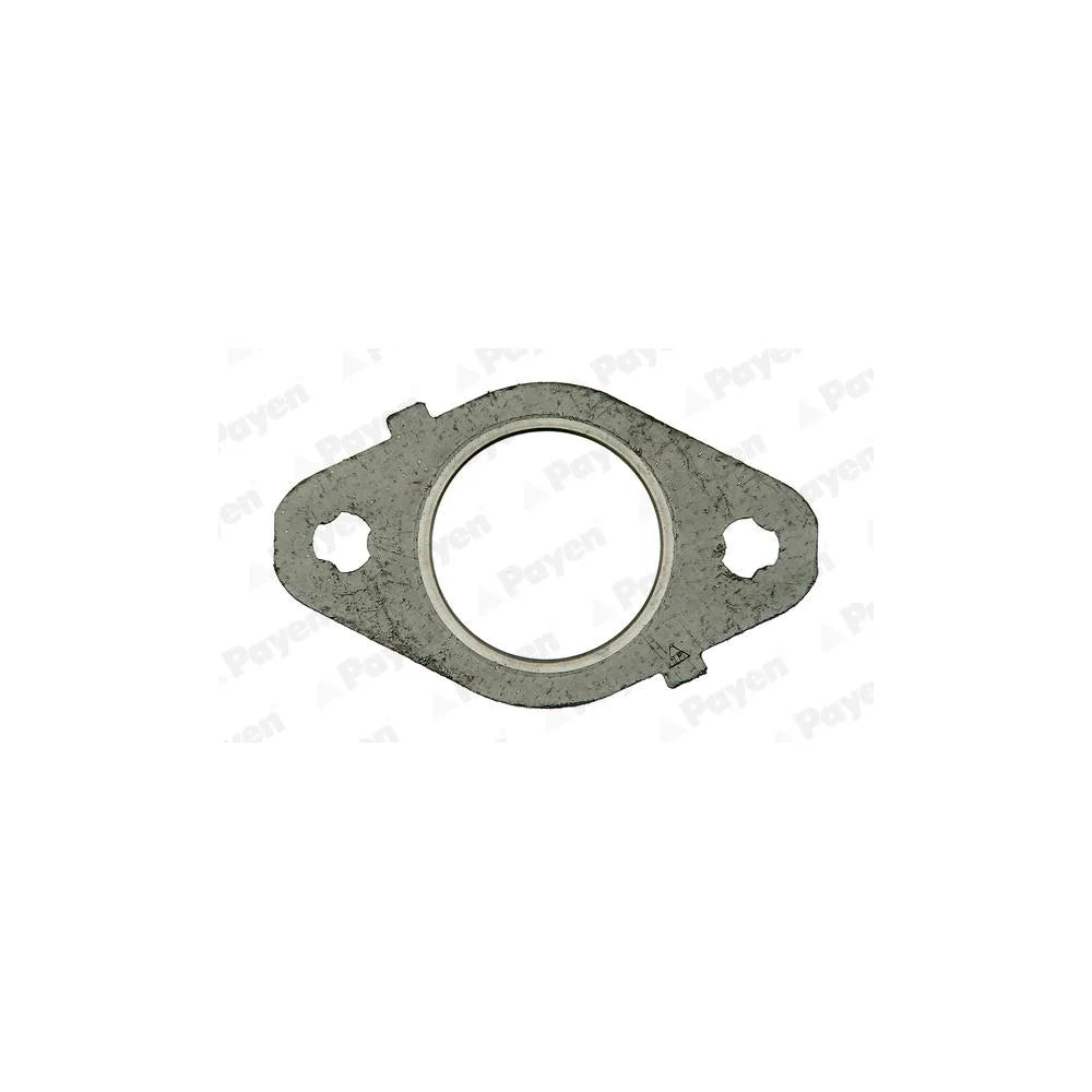 Garnitura Evacuare Payen - JD5970