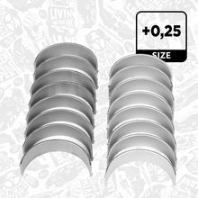 Cuzineti Et Engineteam - LP005225