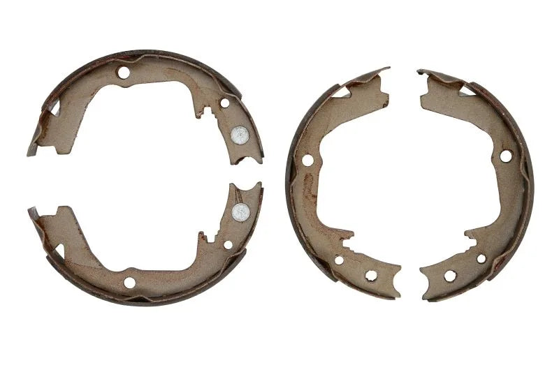 Tamburi Frana Delphi pentru Subaru Legacy/Outback, Subaru Forester - LS2170