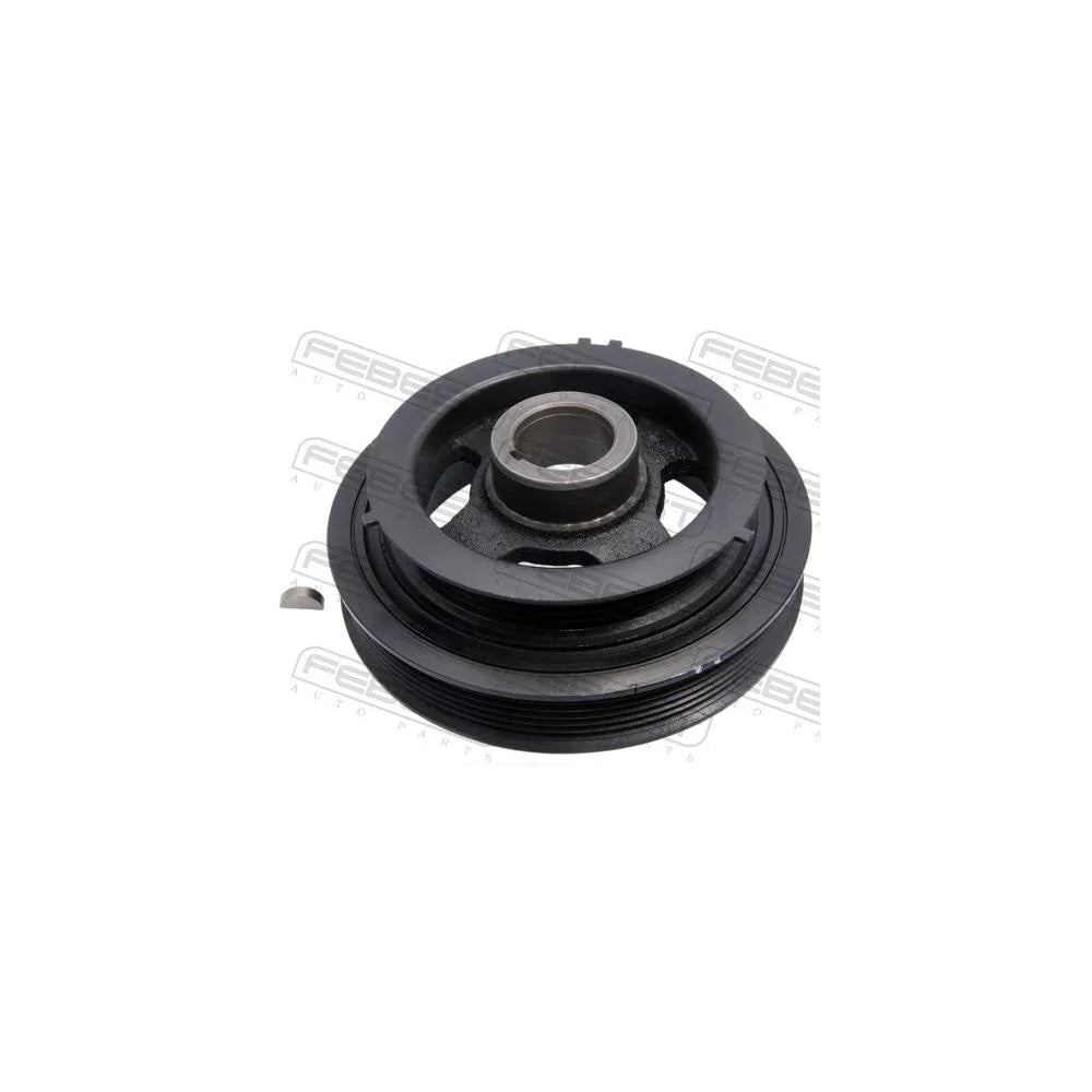 Alte Fulii Febest - NDS-VQ20