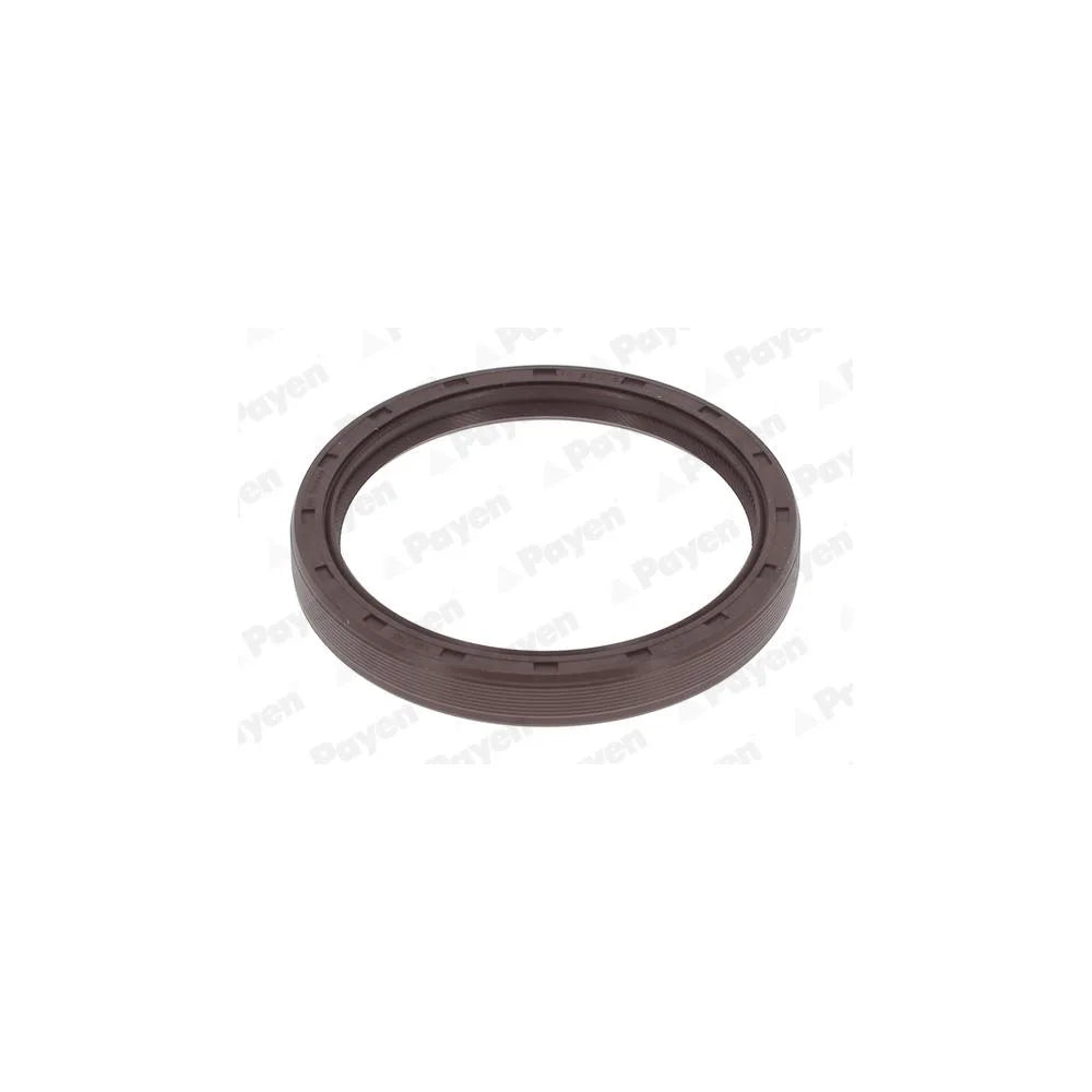 Simeringuri Payen 1950 mm - NF776