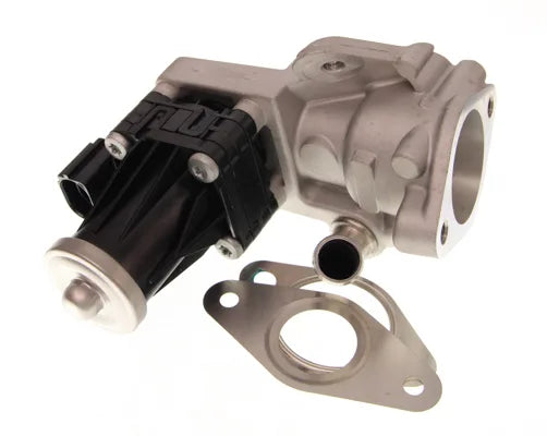 Supapa Egr NIS - NIS98238