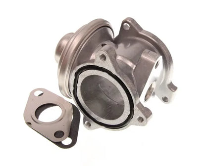 Supapa Egr NIS - NIS98294