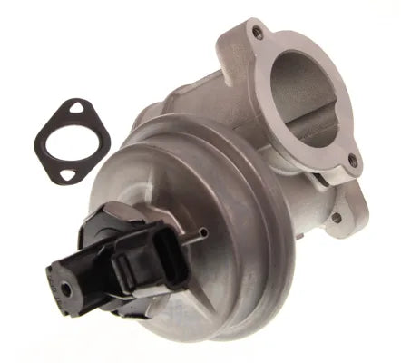 Supapa Egr NIS - NIS98420