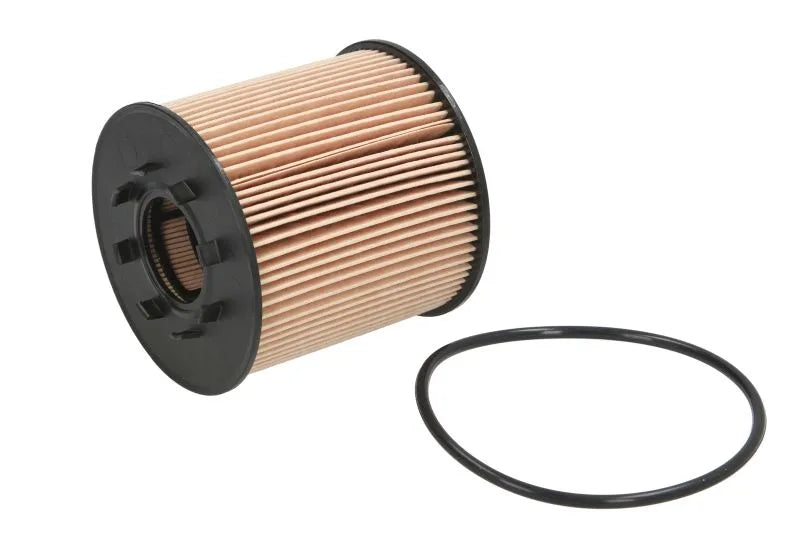 Filtru Ulei FILTRON 0.11 kg - OE 666/1