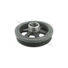 Alte Fulii Febest - OPDS-Z32SE