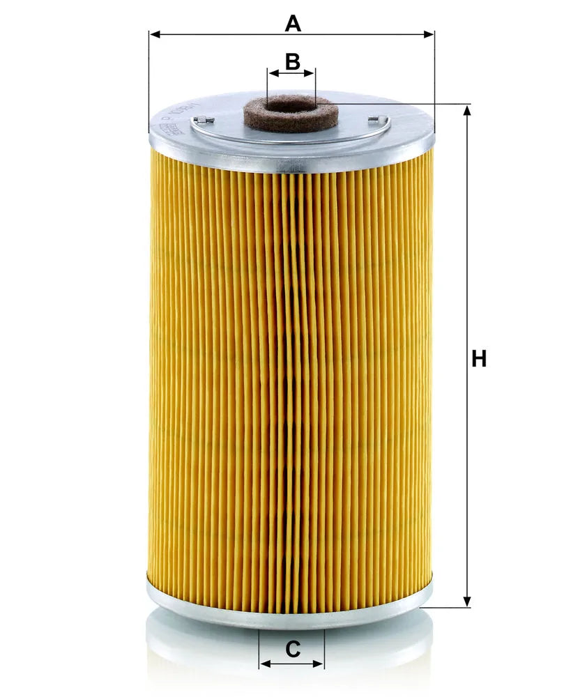 Filtru Combustibil MANN-FILTER 0.27 kg - P 1018/1