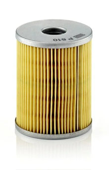 Filtru Combustibil Mann-Filter 0.10 kg - P 810 X
