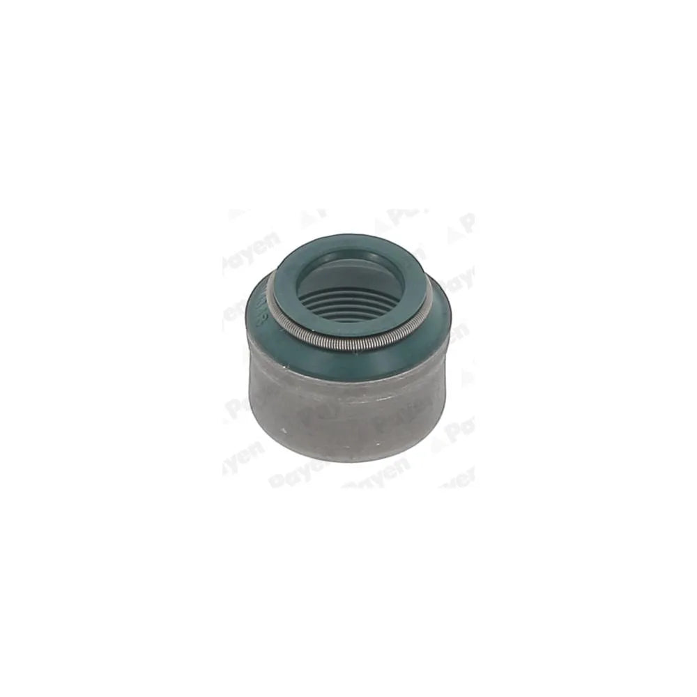 Simeringuri Payen - PA6119
