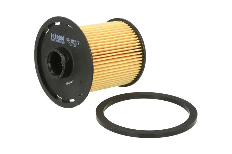 Filtru Combustibil FILTRON pentru Dacia Pick Up, Renault Clio Ii - PE 815/2