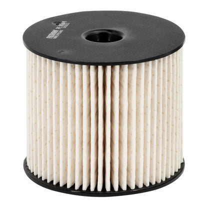 Filtru Combustibil FILTRON 0.10 kg - PE 816/4