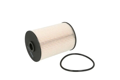 Filtru Combustibil FILTRON 0.15 kg - PE 973/2