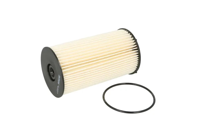 Filtru Combustibil FILTRON 0.15 kg - PE 973/3