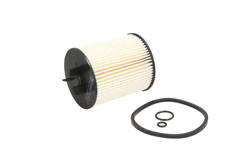 Filtru Combustibil FILTRON 0.12 kg - PE 973/5