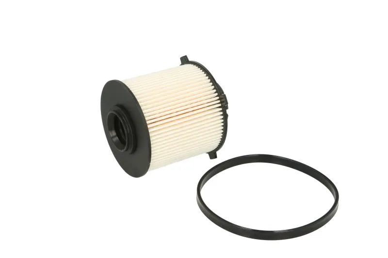 Filtru Combustibil FILTRON 0.13 kg - PE 982/1