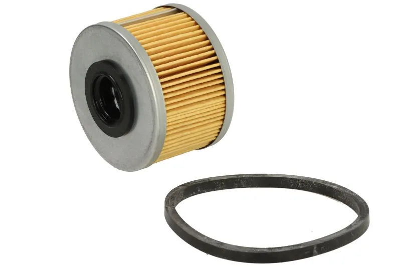 Filtru Combustibil FILTRON 0.11 kg - PM 815/1
