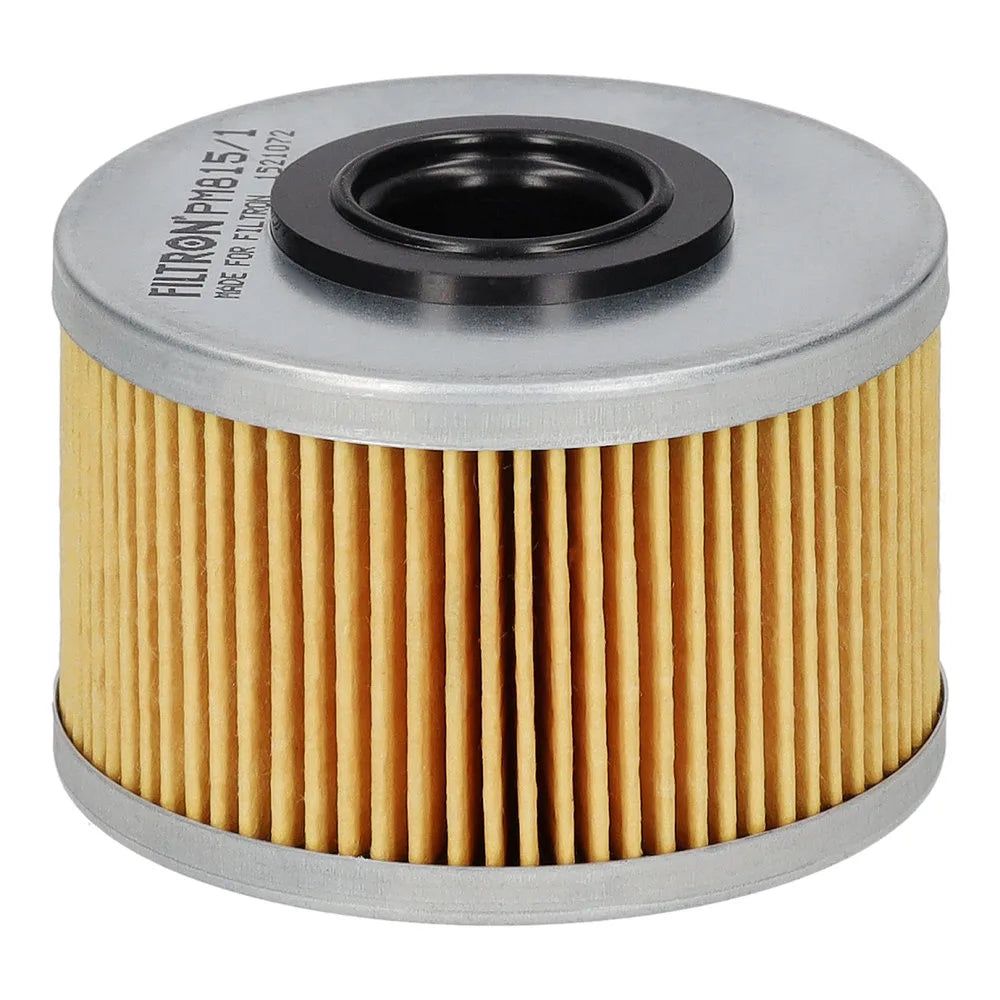 Filtru Combustibil FILTRON 0.11 kg - PM 815/1