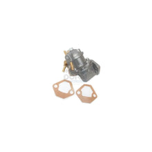 Alte Pompe Meat & Doria - POC679