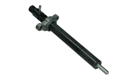 Injector Delphi - R06001D