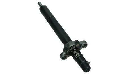 Injector Delphi - R06001D