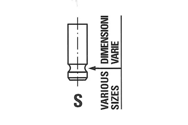 Supapa Admisie FRE - R6232/SNT