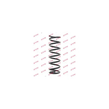 Punte Spate KYB 50 g - RC5902