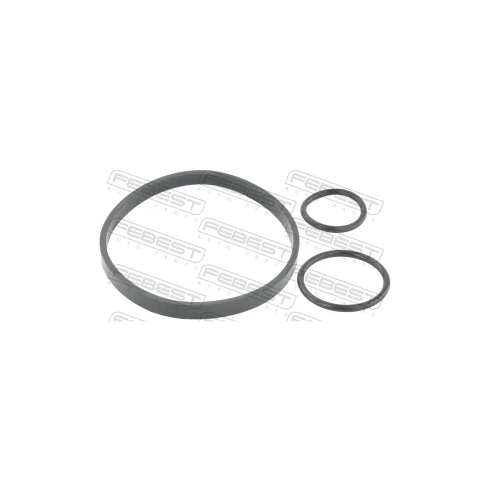 Set Garnituri Febest - RINGOL-039-KIT