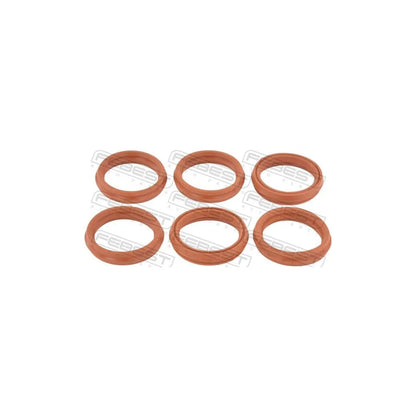 Set Garnituri Febest - RINGOL-063-PCS6