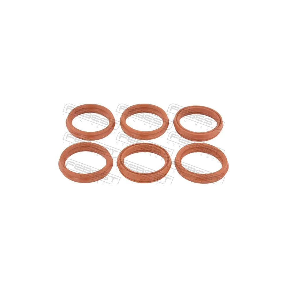 Set Garnituri Febest - RINGOL-063-PCS6