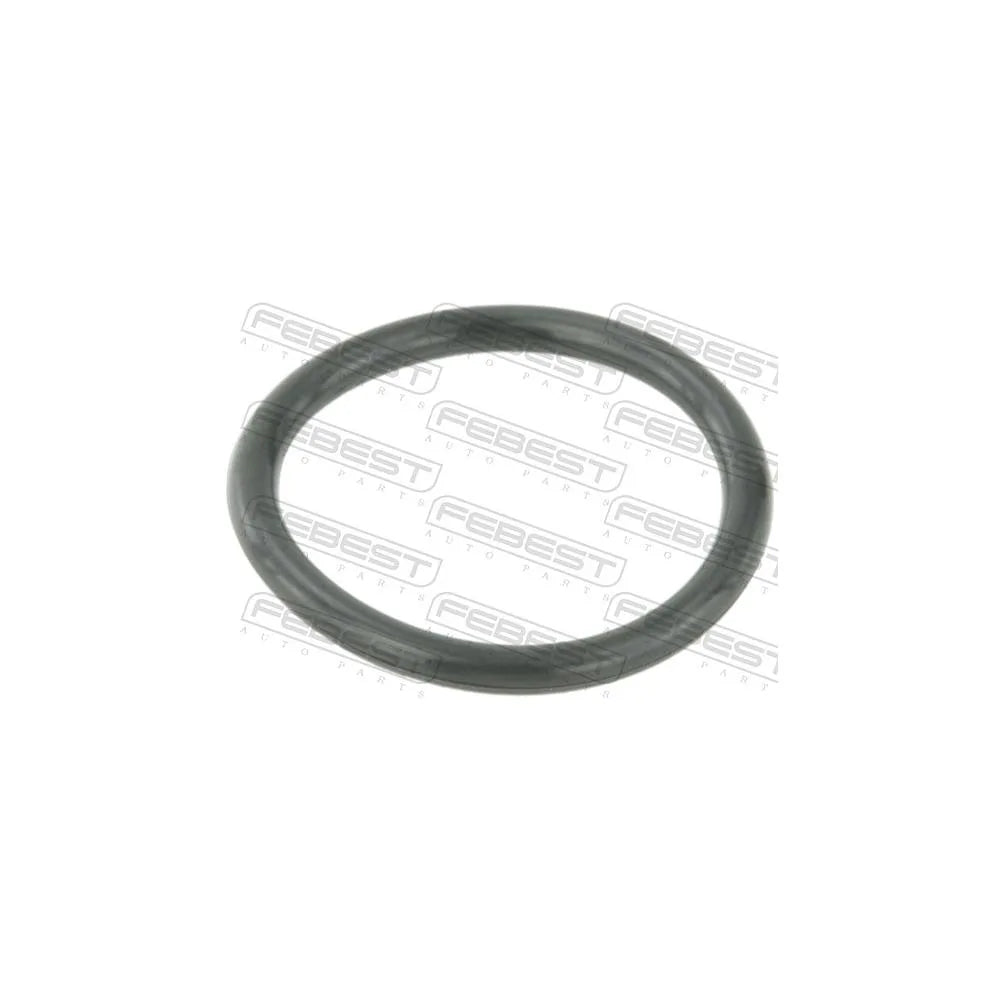 Set Garnituri Febest - RINGWH-B5