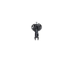 Amortizoare Kavo Parts - SSA-11449