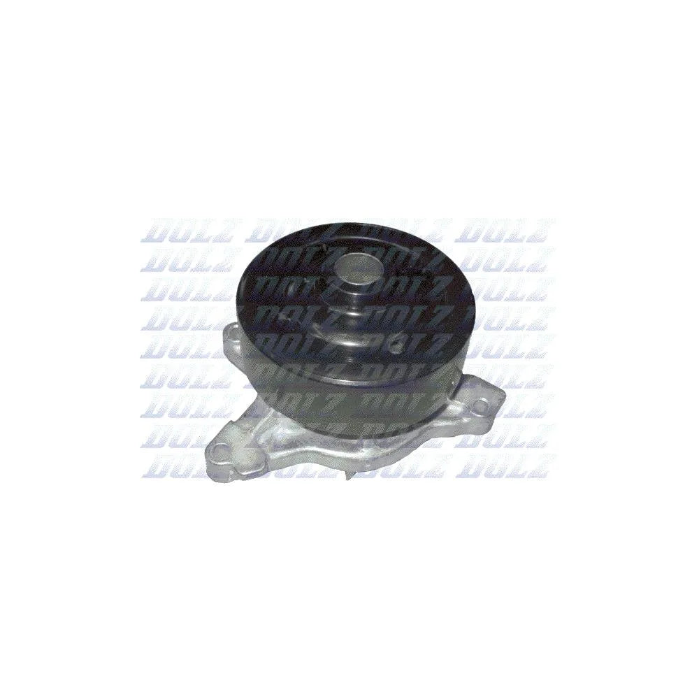 Pompa Apa Dolz - T230