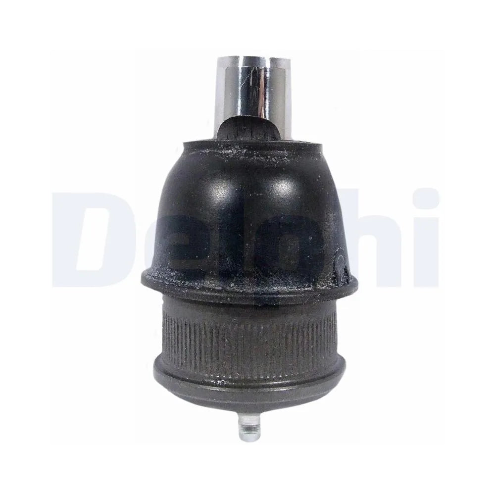 Pivot Delphi - TC1991