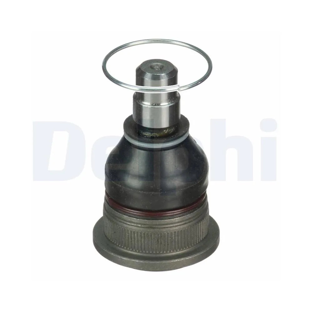 Pivot Delphi - TC3653